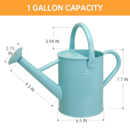 Lechloris Regador de Metal para Plantas Ao Ar Livre, Regador de Aço Galvanizado de 1 Galão com Bico