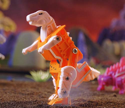 CICABOOM Welcome to the Jungle (26 Lettere