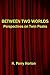 Between Two Worlds: Perspectives on Twin Peaks