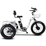 Emojo Electric Tricycle/Fat Tire Caddy Pro Trike, 500W 48V Hybrid Bicycle with Hydraulic Brake,...