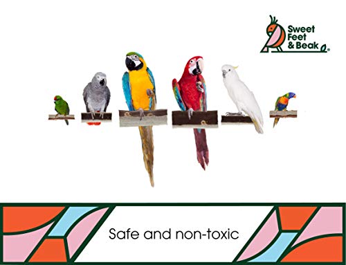 Sweet Feet and Beak Superoost Manzanita Pumice Pedicure Perch - Patented Bird Perch Keeps Nails and Beak in Top Condition - Imitates Birds' Life in The Wild - Non-Toxic, Easy Installation - X-Small