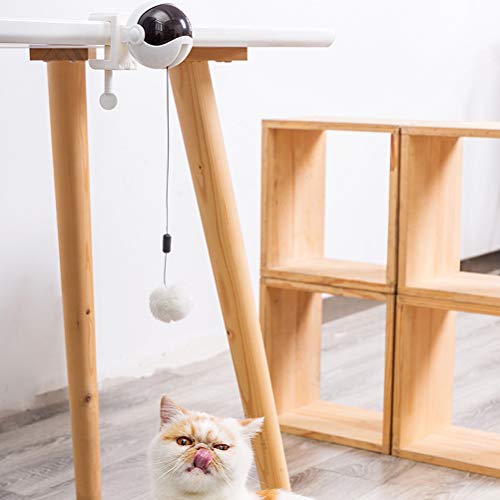 CJMING Giocattolo Gatto Elettrico, Sollevamento