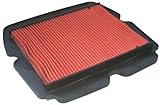 Hiflofiltro HFA1921 Single Air Filters,black