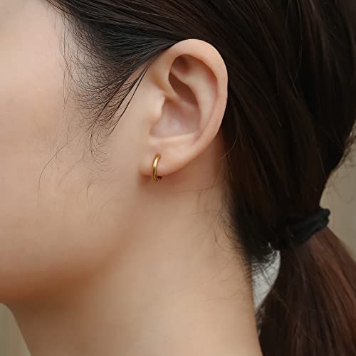 Image of 316L Surgical Stainless Steel Small Hoop Earrings 8mm 10mm 12mm 14mm Hypoallergenic Huggie Hoop Earrings Helix Lobes Hinged Sleeper Earrings Men Women for Cartilage Piercings