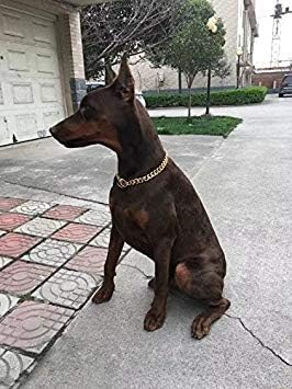 Miniatura 5 de Loveshine Collar de cadena para perro de oro de 18 quilates, cadena de eslabones cubanos de metal de acero inoxidable resistente para perros