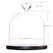 Moonlear Clear Glass Dome Display Case Heart Handle Cloche with Wood Base Dia 6 inch