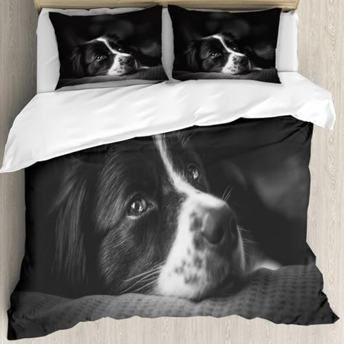 Parure de lit 100% microfibre Border Collie anti-plis grand format 228x264