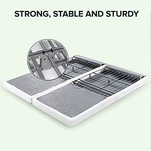 https://m.media-amazon.com/images/I/41nrTt7P7CS._SL500_.jpg