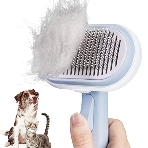 Top 3 Brushes for Beagles Reviewed Sir Doggie