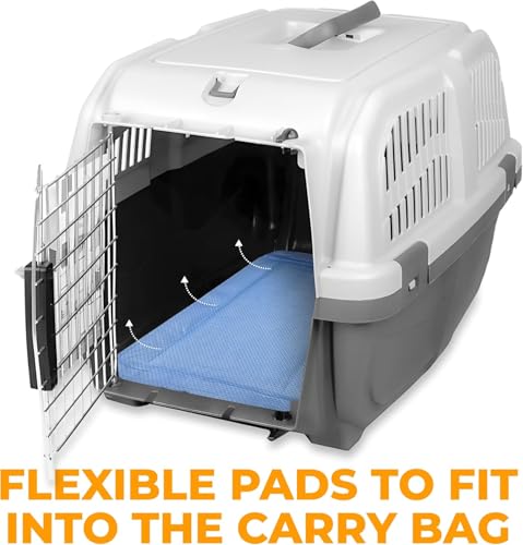 Image of Skywin Pet Carrier Pads, 6 Pack Cat Carrier Pad Insert 19.5 inch x 12.5 inch, Disposable Small Cat Carrier Liner Pad, Puppy Training Pads(Blue)