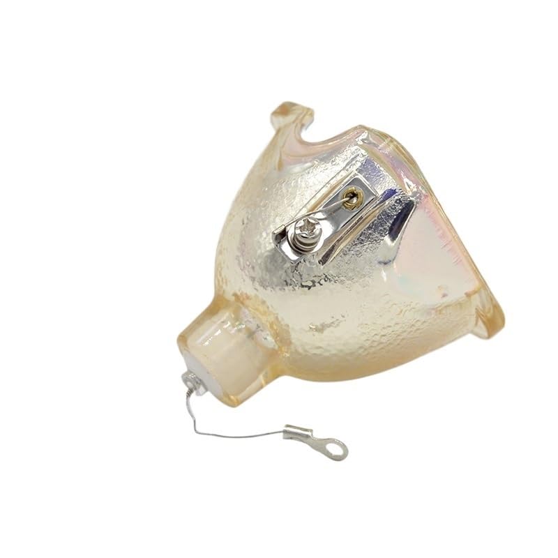 Ampoule projecteur LMP-E190 compatible VPL-ES5 EX5 EW5 EX50 200W