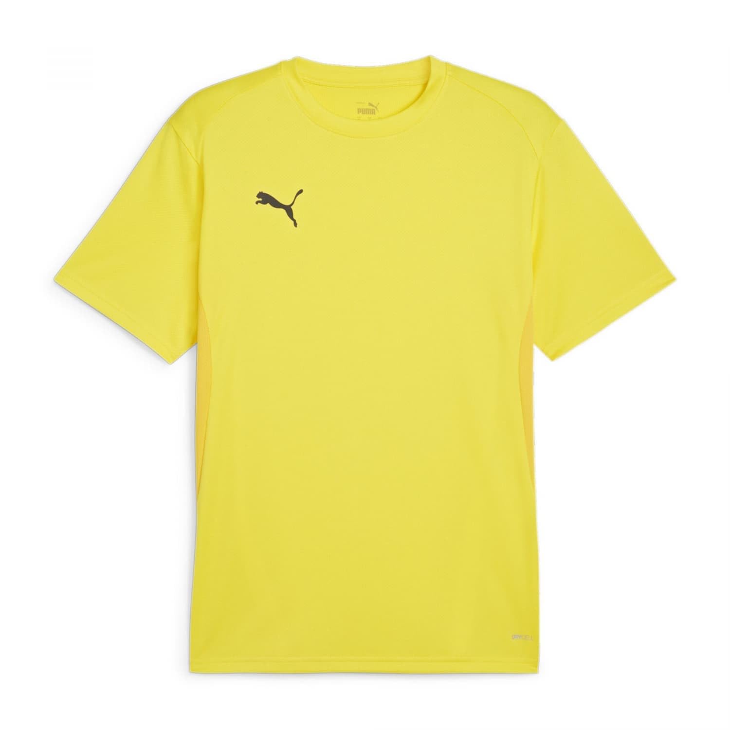 PUMA teamGOAL Jersey