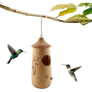 ZZHFC Kolibri-Huis Mini-vogelhuisje van hout, nest kolibri-schommel voor buiten, hangend voor huizen van zwaluwen van Wren