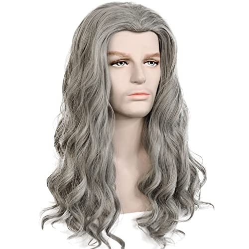 HUNIGIR Mens Gray Wig Long Wavy Gray Male Wig 20 Inches Heat Resistant Synthetic Fiber Hair for Cosplay Halloween Costume