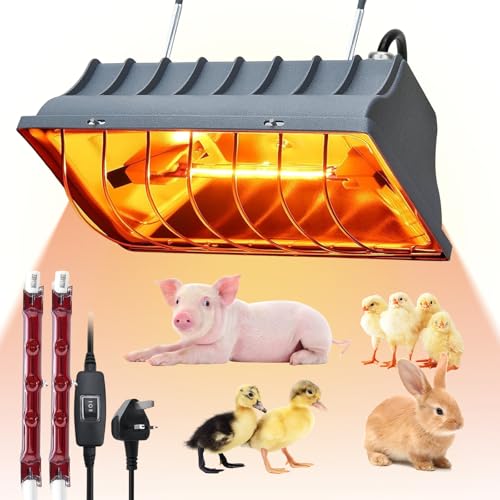 Lampe chauffante infrarouge pour poussins et canetons en hiver