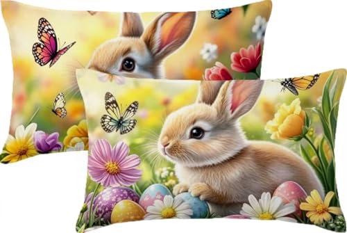 �N�b�V�����J�o�[ ������ �\�t�@�[�N�b�V���� �� ���z�c�J�o�[ 45x30cm �x���x�b�g 2���Z�b�g �����` �N�b�V�����J�o�[ �� �ėp �\�t�@�w���� �������J�o�[ ���薍�J�o�[ �_�炩�� �ƒ� �I�t�B�X �֎q �ԓ� �x�b�h �C���e���A�̑��� �l�G�ʗp 