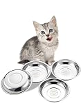 VENTION Stainless Steel Cat Bowls, Cat Food Bowl for Indoor Cats, Whisker Fatigue Cat Bowl, Shallow