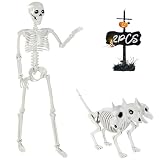 YUJUN 36'' Halloween Skeleton Decoration with 3Head Dog Skeleton,Full Body Posable Skeleton Realistic Plastic Bones Movable Joints for Halloween Party Yard Haunted House Props Indoor Outdoor Decor