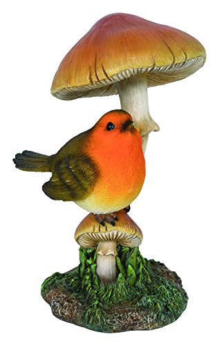 M.E.G Tarjetas y Regalos Vivid Arts  Robin en Toadstool decoración del hogar o jardín (BG-RB03-F)