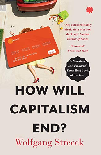 How Will Capitalism End? (English Edition)