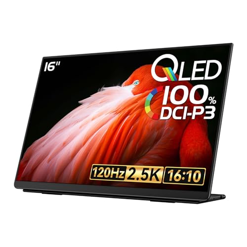 Image of EHOMEWEI Q5 Portable Monitor 2.5K 120Hz 16 inch QLED,Hummingbird Anti-Glare Screen 400 Nits HDR 100% DCI-P3 1500:1 sRGB, FreeSync, 16:10 Widescreen Eye Care, Laptop /PC /Phone /Game Console