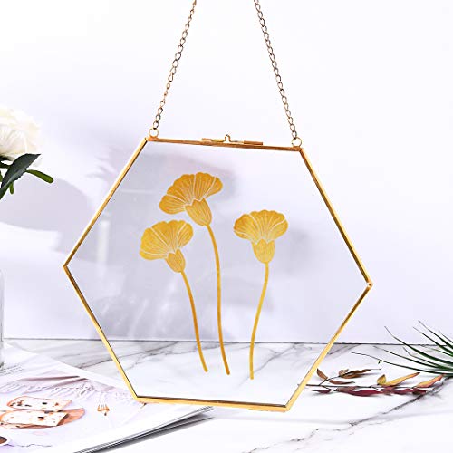 Longwin Gold Glass Frame For Pressed Flowers 9.4 Inch Brass Hexagon Shaped Hanging Wall Decor Floating Frame For Dried Leaf Plants Specimen Herbarium Artwork, Glass Frame Only #TOP1