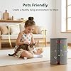 BP03 BP04 BP06 Activated Carbon Filter Compatible with Dyson Purifier Big + Quiet, For Models BP03, BP04, BP06, High-Efficient Carbon Filter for Smoke, Pet Odors, Wildfire, VOCs, Park# 972133-02/03