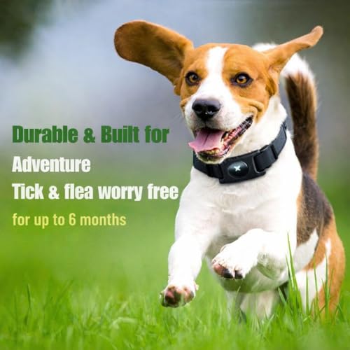 Image of FurLife Flea & Tick Protection Pet Tag - Waterproof Collar Pendant for Dogs & Cats | Safe & Lightweight for All Breeds - (Black)