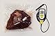 TFA Dostmann Digitales Sous-Vide Thermometer mit Edelstahleinstichfühler,14.1552.01, inkl. Schaumstoffband zum Abdichten, Schwarz