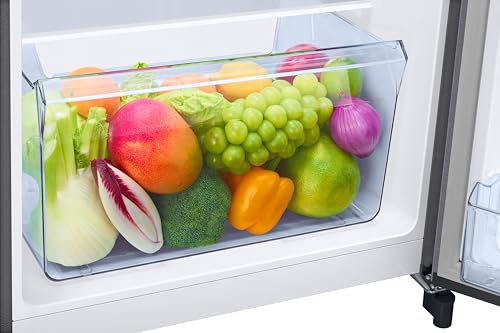 Samsung 189 L, 4 Star, Digital Inverter, Direct-Cool Single Door Refrigerator (RR21H2G24S8/HL, Silver, Elegant Inox, Single Touch Defrost, 2026 Model) 8 41ns+XGJTIL