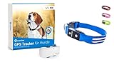 Tractive GPS Tracker für Hunde + LED-Halsband. Live-Ortung mit unbegrenzter Reichweite (Blau, M)