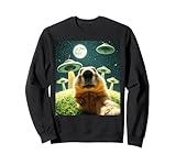 Photo Gallery groundhog selfie with alien ufo tee funny selfie groundhog felpa Photo Gallery groundhog selfie with alien ufo tee funny selfie groundhog felpa