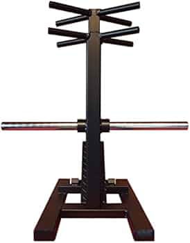 41ns4sg0ROL._AC_UF350,