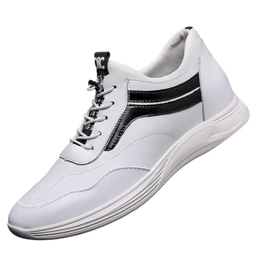 [GUREITOJP] rWlXV[Y Y wȂC vC 6cm/8cm gAbv h h \tg  amC  傫TCY JWA IbNXtH[hV[Y d ItBX s V 24.0 cm