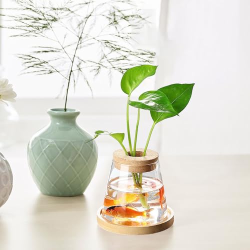 Consejos y reviews para comprar Escritorio de madera con vidrio - los mas comprados. 27 Imagen adicional