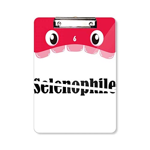 Porte-bloc sélénophile design Art déco A4 idéal pour vos réunions et notes