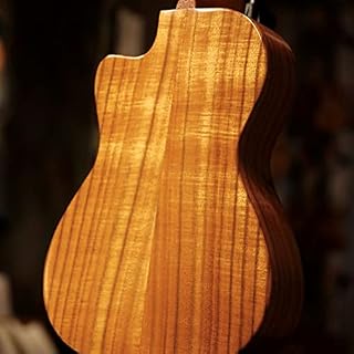 SheIRin Tout ce Dont Vous Avez Besoin pour ukulélé ténor, Facile à Apprendre pour Les Enfants, Instrument d’ukulélé en… - Les Beatles, Paul McCartney, John Lennon, RIngo Starr, George Harrison SheIRin Tout ce Dont Vous Avez Besoin pour ukulélé ténor, Facile à Apprendre pour Les Enfants, Instrument d'ukulélé en… – Image 7