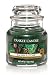 Yankee Candle Balsam & Cedar Small Jar Candle, Festive Scent