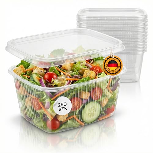 LogiPack GeRo 250 Stück Premium Feinkostbecher mit Deckel eckig Salatbecher Snackschale & Verpackungsbecher aus Polypropylen Ideal für Gastronomie & Take-Away Made in EU (250ml)