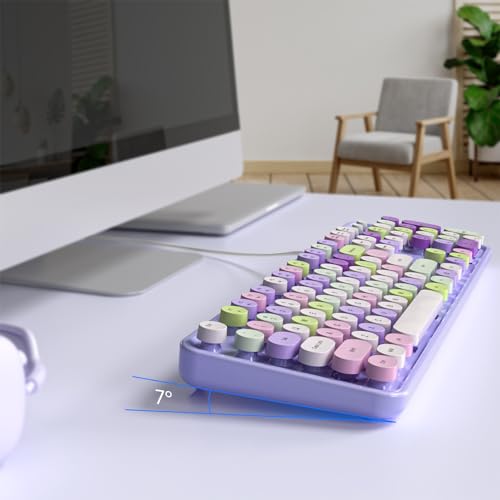 Image of Dilter Wired Keyboard, 104 Keys Full-Sized Typewriter Keyboards, USB Office Keyboard with Number Pad, Caps Indicators, Foldable Stands for Windows, PC, Laptop, Desktop (Purple Colorful)