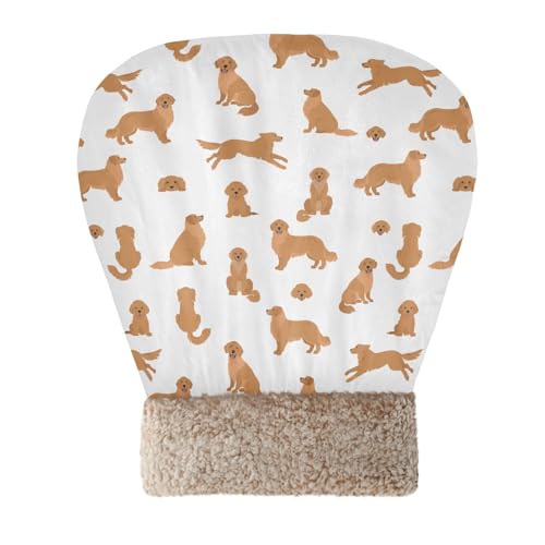 SUKAU LpQ ~  Lxbh ybgxbh 􂦂 ۉ y LnEX ybgpi p xe