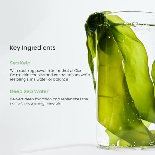 image for BIODANCE Refreshing Sea kelp Real Deep Mask, Overnight Hydrogel Mask, 