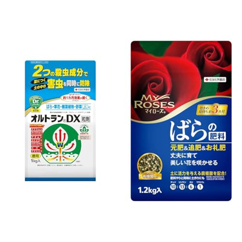 yZbgzZFw| E IgDX 1kg Zڍs AuV RKlVc + 엿 }C[Y ΂̔엿 1.2kg KN  ǔ 