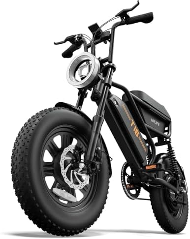 URLIFE 16" x 3.0 Electric Bike, 48V 13Ah Removable Battery, 250W ...