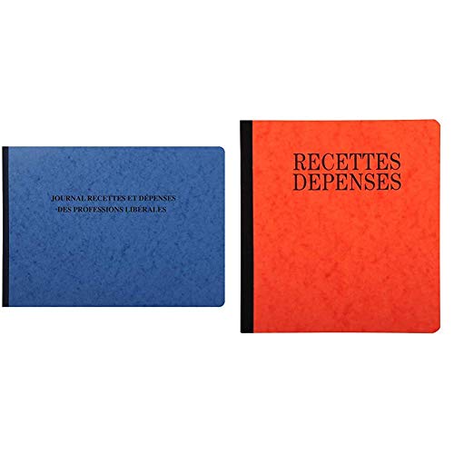 Piqûre recettes-dépenses Exacompta 9620E 930E : cahier de comptabilité papier pour indépendant