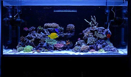 KZKR-LED-Aquarium-Light-72-78-Inch-Foldable-Adjustable-Fish-Tank-Light-Hood-Lamp-for-Freshwater-Saltwater-Marine-Blue-and-White-Decorations-Light-6ft-7ft-180cm-200cm