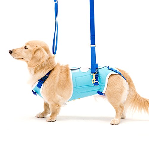 Amazon.co.jp: With(ウィズ) 歩行補助ハーネス LaLaWalk 小型犬