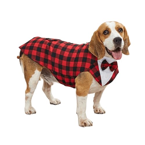 IUOUTG ̃^NZȟ`IȌ̃X[cƃo_iZbgA^^̂߂̌̉q̃{E^CVcp[eB[̃X[c̈ߑ S[fg[o[TuhbO