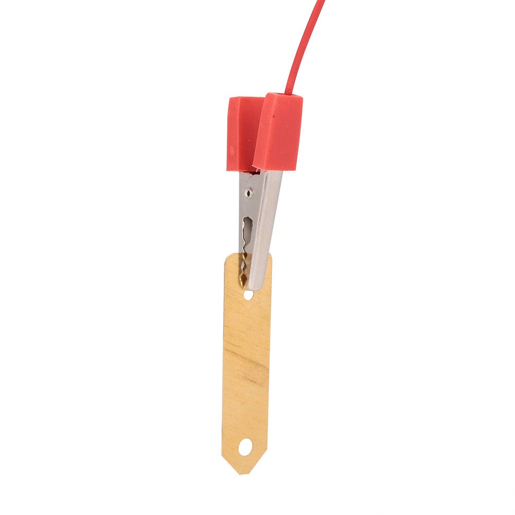 Kit Scientifico Bio Energia - Giocattolo Educativo Per Esperimenti Con Patata E Frutta - Orologio Digitale E Lampadina A Batteria Naturale