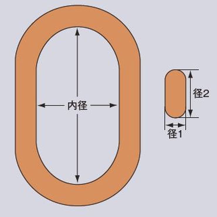 大洋製器工業 アロイメインリンク 10t 1013165